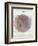 Venn Diagram of Humans - 1873, The World in Hemispheres Map-null-Framed Premium Giclee Print