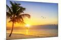Premium Photographic Print