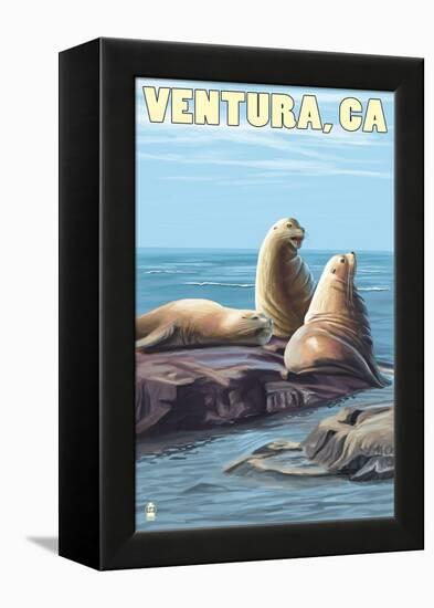 Ventura, California - Sea Lions-Lantern Press-Framed Stretched Canvas