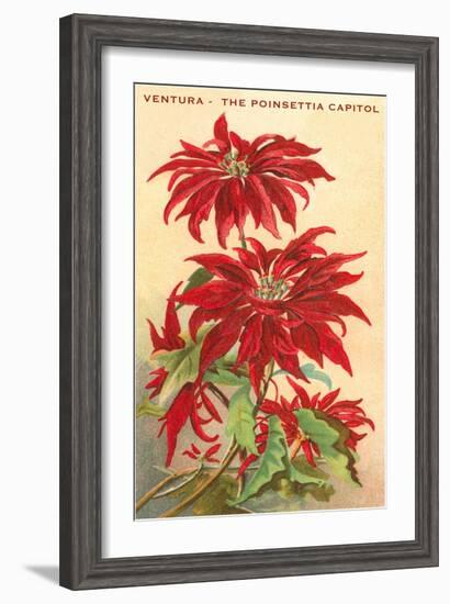 Ventura, the Poinsettia Capital-null-Framed Art Print