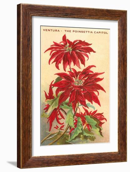 Ventura, the Poinsettia Capital-null-Framed Art Print