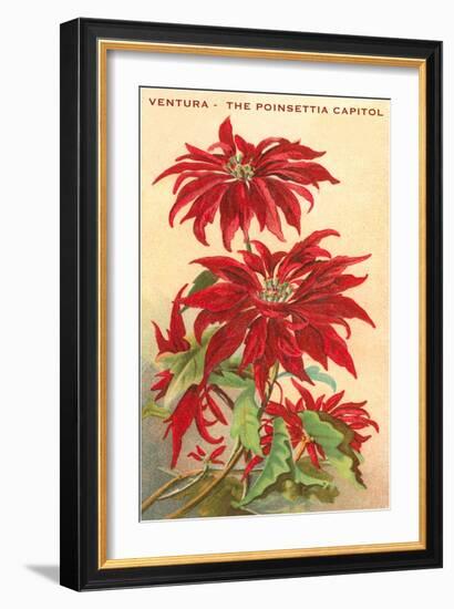 Ventura, the Poinsettia Capital-null-Framed Art Print