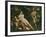 Venus, Adonis and Cupid-Annibale Carracci-Framed Giclee Print