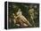 Venus, Adonis and Cupid-Annibale Carracci-Framed Premier Image Canvas