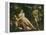 Venus, Adonis and Cupid-Annibale Carracci-Framed Premier Image Canvas