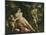 Venus, Adonis and Cupid-Annibale Carracci-Mounted Giclee Print