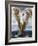 Venus Anadyomene, 1872-Arnold Bocklin-Framed Giclee Print