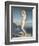 Venus Anadyomene, or Venus of the Sea, 1838-Theodore Chasseriau-Framed Premium Giclee Print