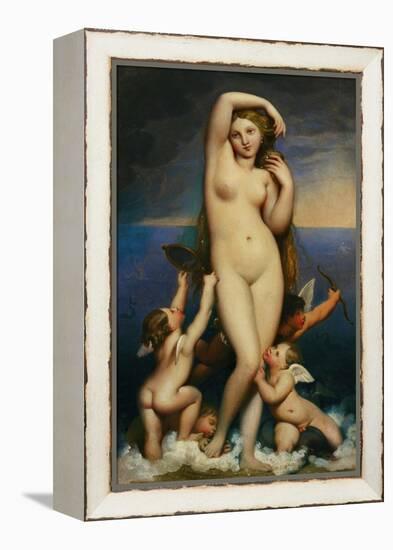 Venus Anadyomene-Jean-Auguste-Dominique Ingres-Framed Premier Image Canvas