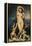 Venus Anadyomene-Jean-Auguste-Dominique Ingres-Framed Premier Image Canvas