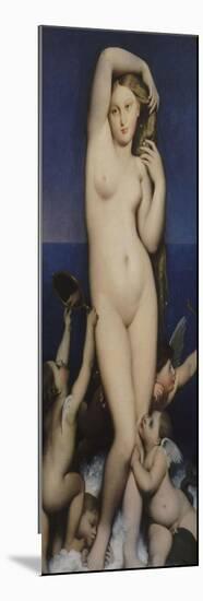 Venus Anadyomene-Jean-Auguste-Dominique Ingres-Mounted Giclee Print
