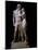 Venus and Adonis-Antonio Canova-Mounted Photographic Print