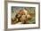 Venus and Adonis-Charles Joseph Natoire-Framed Giclee Print