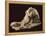 Venus and Adonis-Antonio Canova-Framed Premier Image Canvas