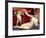 Venus and Cupid, c.1525-Lorenzo Lotto-Framed Giclee Print