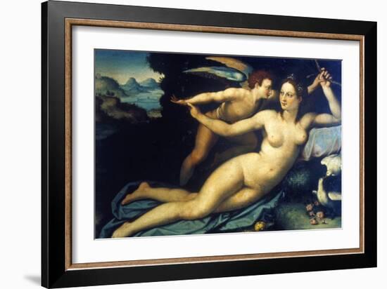 Venus and Cupid, Mid 16th Century-Agnolo Bronzino-Framed Giclee Print