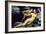 Venus and Cupid, Mid 16th Century-Agnolo Bronzino-Framed Giclee Print