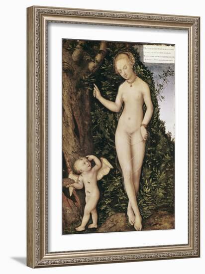 Venus and Cupid with Bee Hive-Lucas Cranach the Elder-Framed Giclee Print
