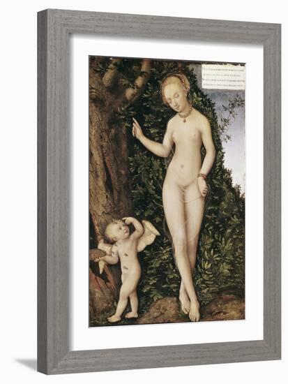 Venus and Cupid with Bee Hive-Lucas Cranach the Elder-Framed Giclee Print
