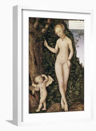 Venus and Cupid with Bee Hive-Lucas Cranach the Elder-Framed Giclee Print