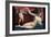 Venus and Cupid-Lorenzo Lotto-Framed Art Print