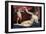 Venus and Cupid-Lorenzo Lotto-Framed Art Print