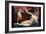 Venus and Cupid-Lorenzo Lotto-Framed Art Print