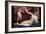 Venus and Cupid-Lorenzo Lotto-Framed Art Print