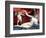 Venus and Cupid-Lorenzo Lotto-Framed Giclee Print