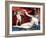 Venus and Cupid-Lorenzo Lotto-Framed Giclee Print