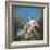 Venus and Cupid-Francois Boucher-Framed Giclee Print