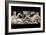 Venus and Mars-Sandro Botticelli-Framed Art Print