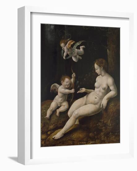 Venus and Two Cupids, C.1528 (Oil on Panel)-Jan van Scorel-Framed Giclee Print