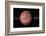 Venus, Artwork-null-Framed Photographic Print