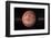 Venus, Artwork-null-Framed Photographic Print