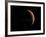 Venus, Artwork-null-Framed Photographic Print