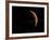 Venus, Artwork-null-Framed Photographic Print