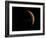 Venus, Artwork-null-Framed Photographic Print