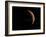 Venus, Artwork-null-Framed Photographic Print