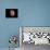 Venus, Artwork-null-Photographic Print displayed on a wall