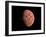 Venus, Artwork-null-Framed Photographic Print