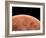 Venus, Artwork-null-Framed Photographic Print