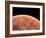 Venus, Artwork-null-Framed Photographic Print