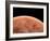 Venus, Artwork-null-Framed Photographic Print