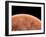 Venus, Artwork-null-Framed Photographic Print