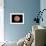 Venus, Artwork-null-Framed Photographic Print displayed on a wall