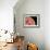 Venus, Artwork-null-Framed Photographic Print displayed on a wall