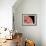 Venus, Artwork-null-Framed Photographic Print displayed on a wall