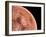 Venus, Artwork-null-Framed Photographic Print