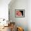 Venus, Artwork-null-Framed Photographic Print displayed on a wall